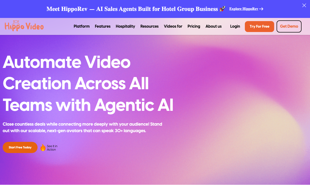Hippo Video product screenshot