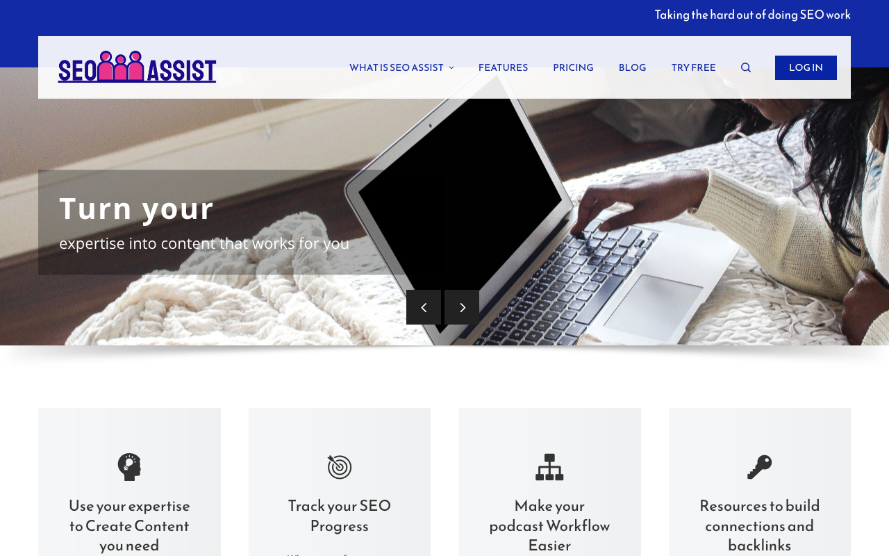 SEO ASSIST product screenshot
