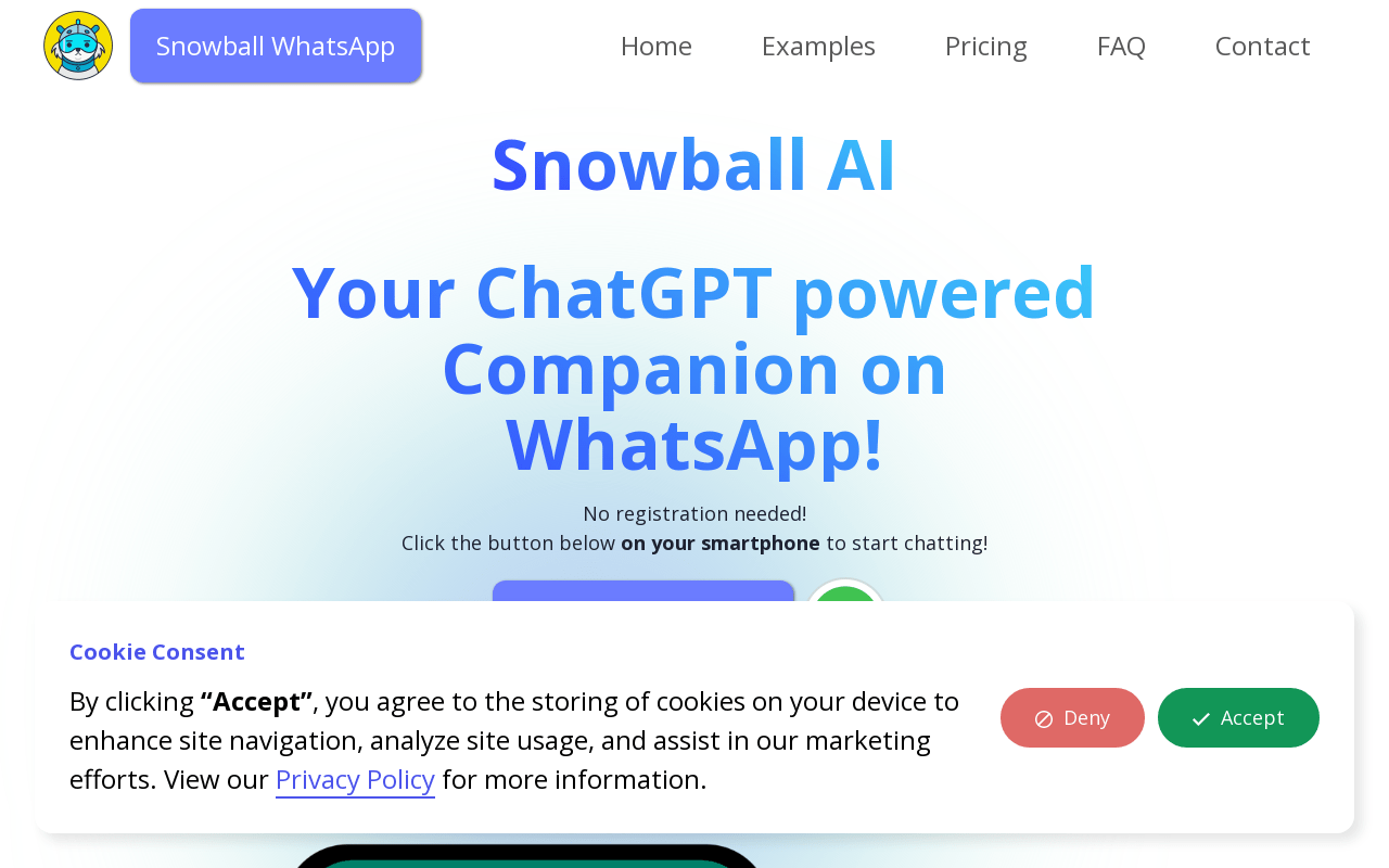 Snowball AI product screenshot