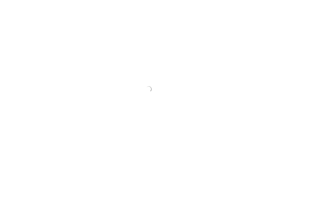 Wallet.ai product screenshot
